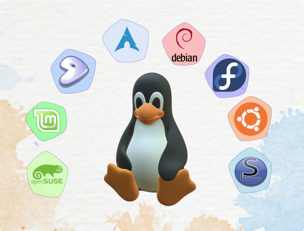 The Linux Paradox: Is Fragmentation a Curse or a Blessing?